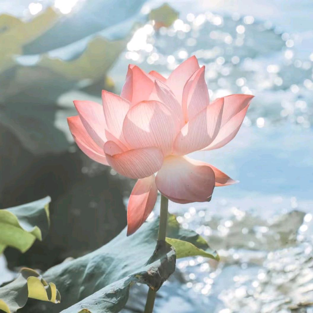别来无恙