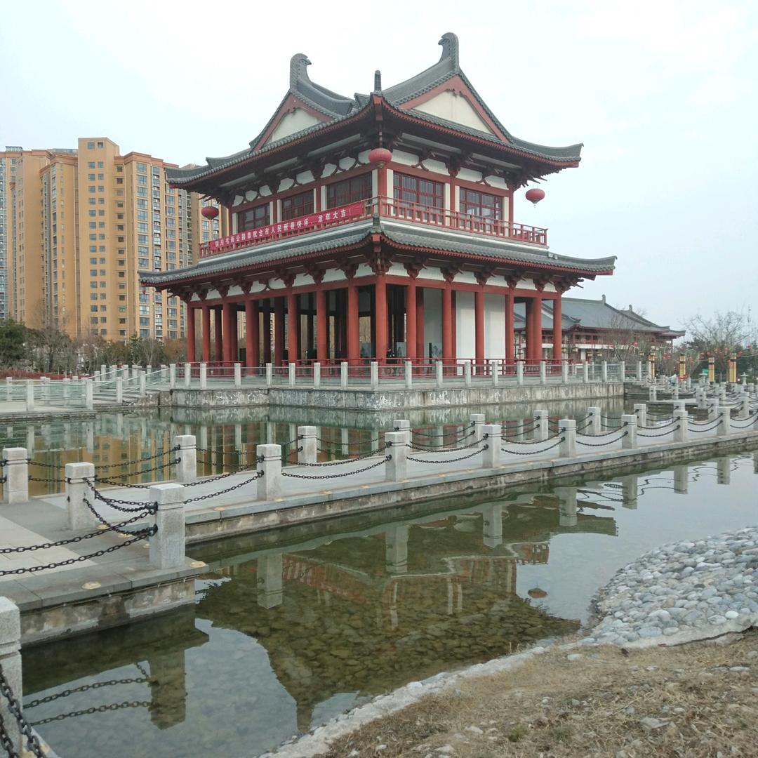 追梦王哥