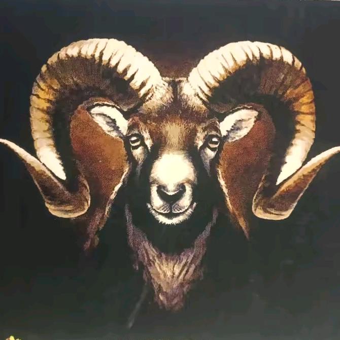 《热依汗古丽馕坑肉🐏 小凯》