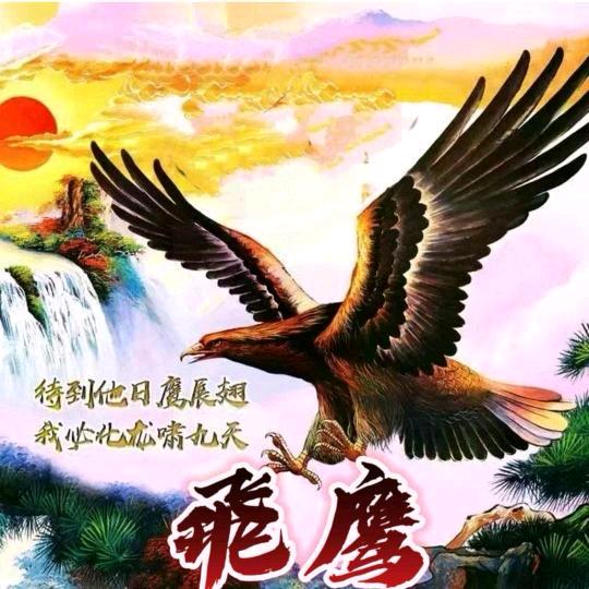 ︎ᝰ🇨🇳飛鹰🇨🇳✍︎꙳⋆