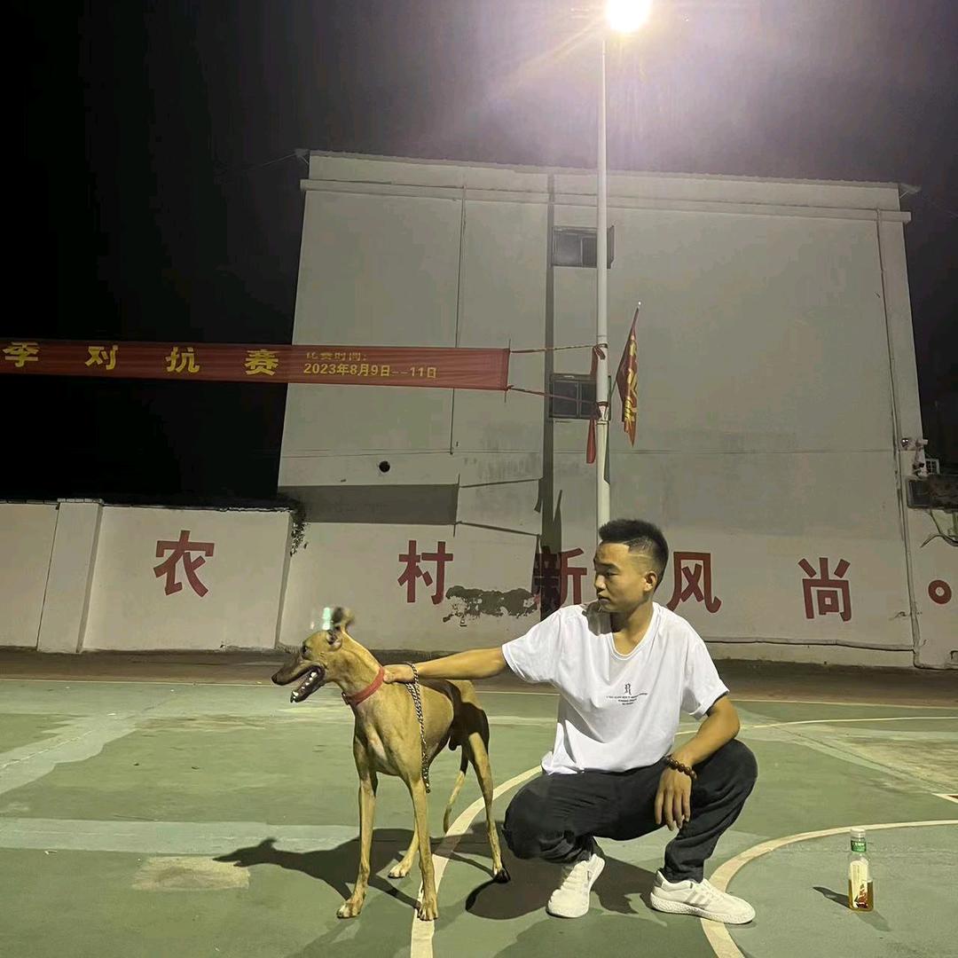 二豪💫