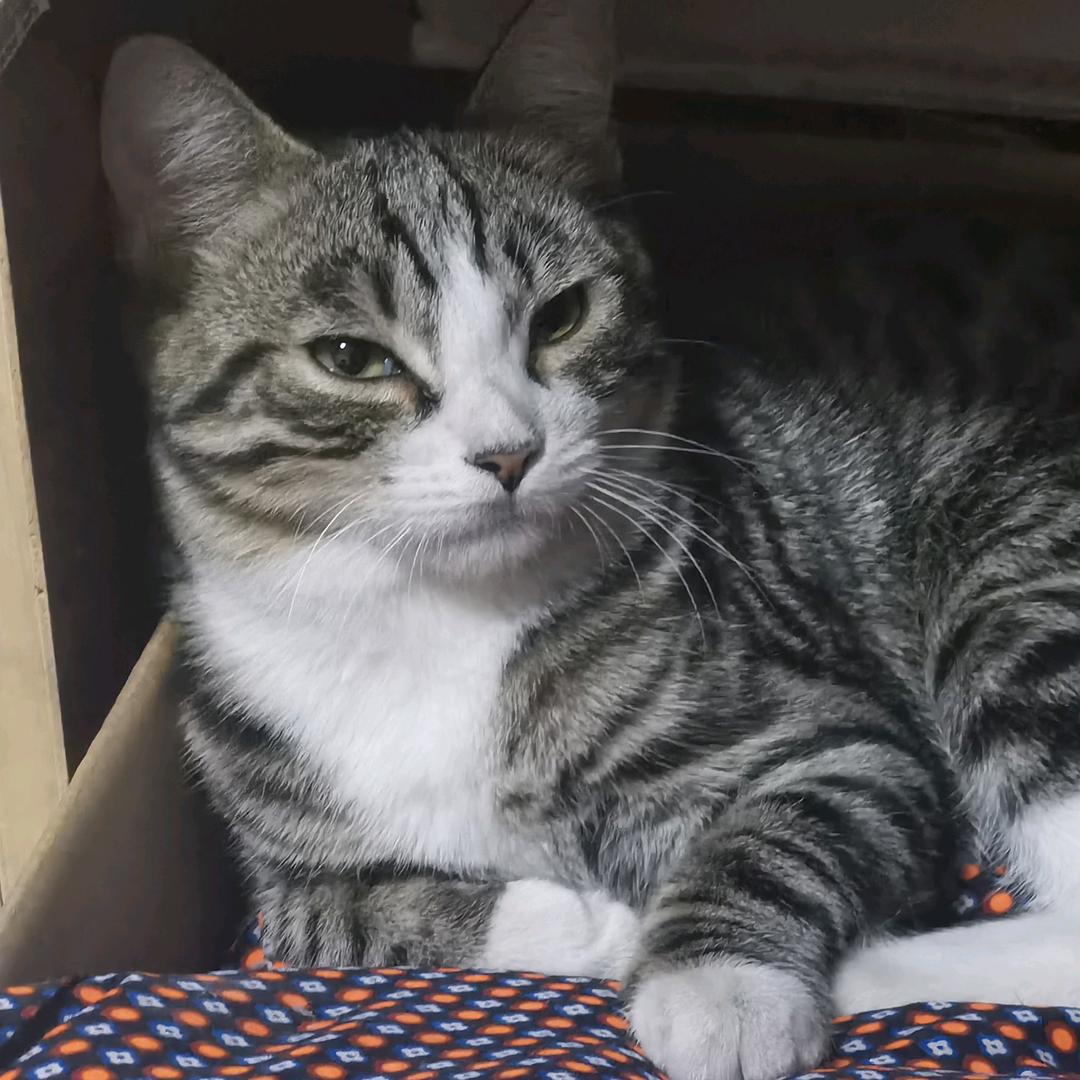缘棠
