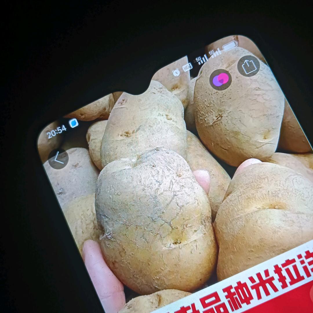 用户8407992381049