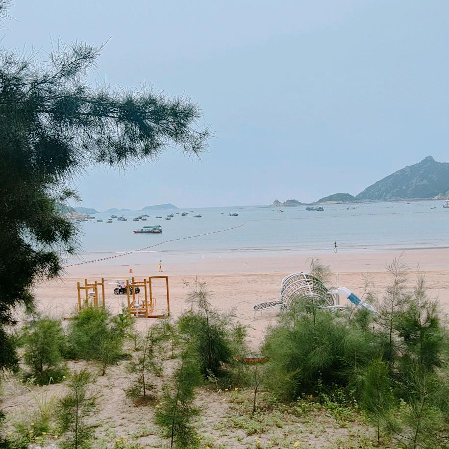 海波      波哥