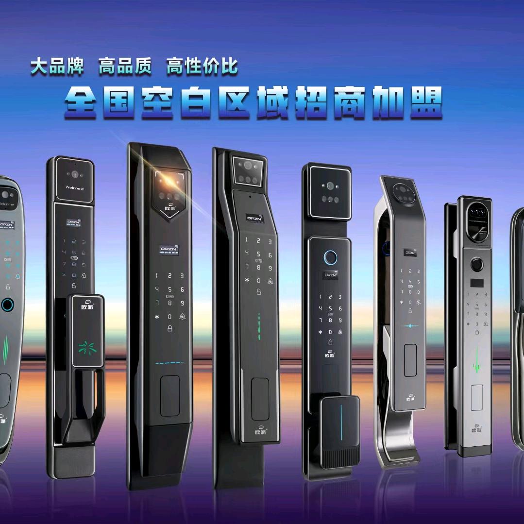 帝菲特智能科技门锁