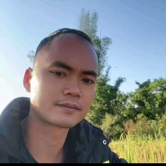 小虎虎🐯