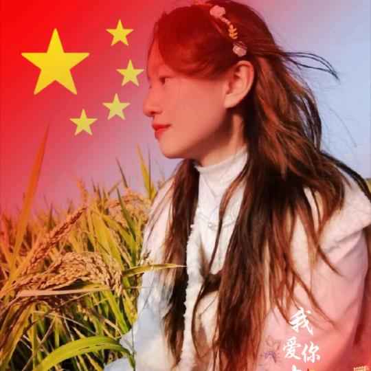 老谭酸菜牛肉面