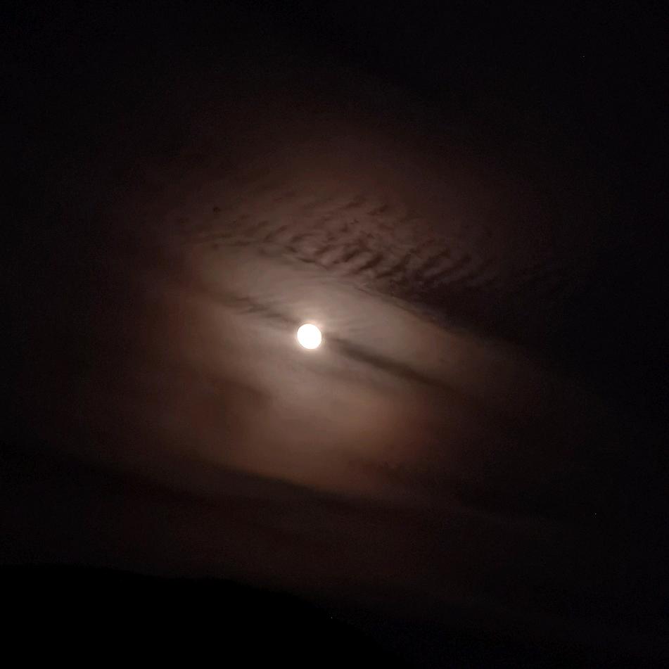 只饮烈酒，不谈过往。