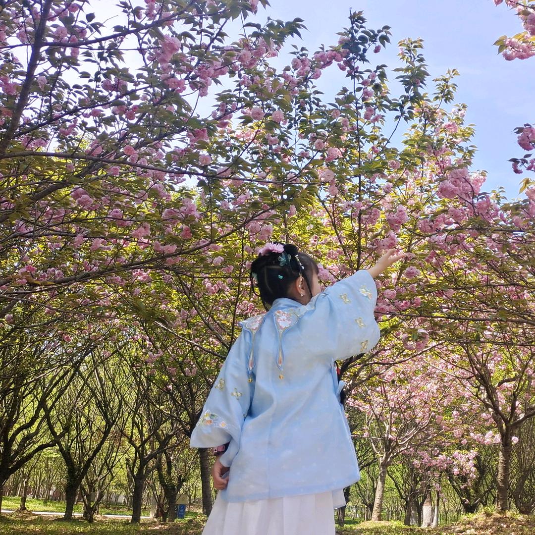 🍀梦楼兰🌈