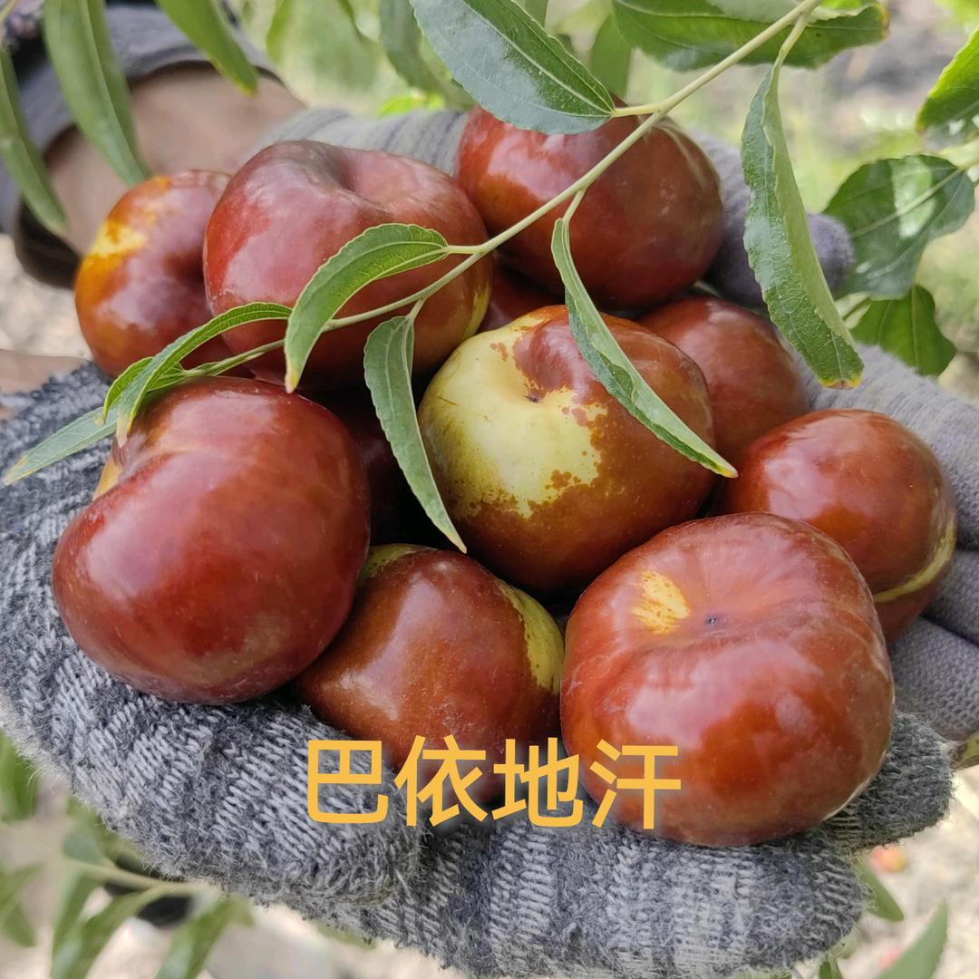 巴依地汗