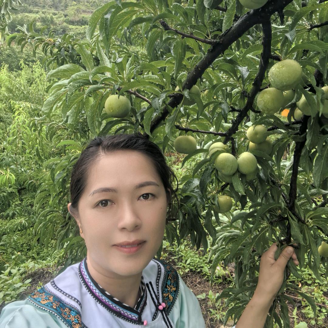 果农侠西西果树苗木专卖店