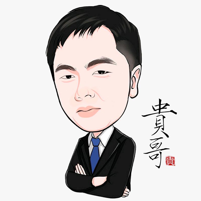 盛元集藏总店