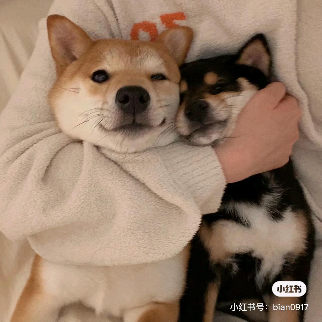 秋天.