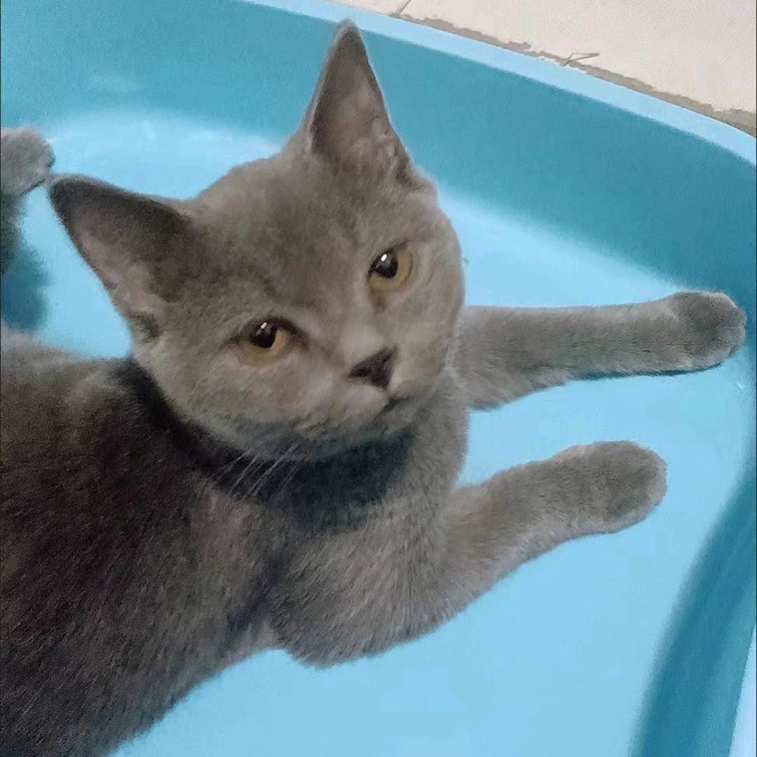 看看而进行