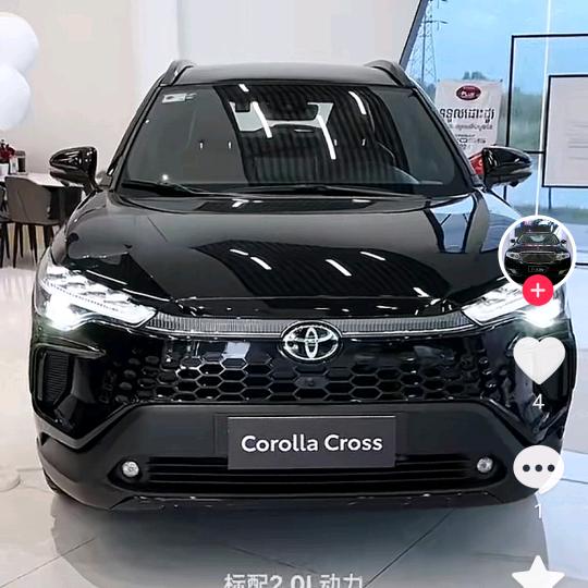 张弟
