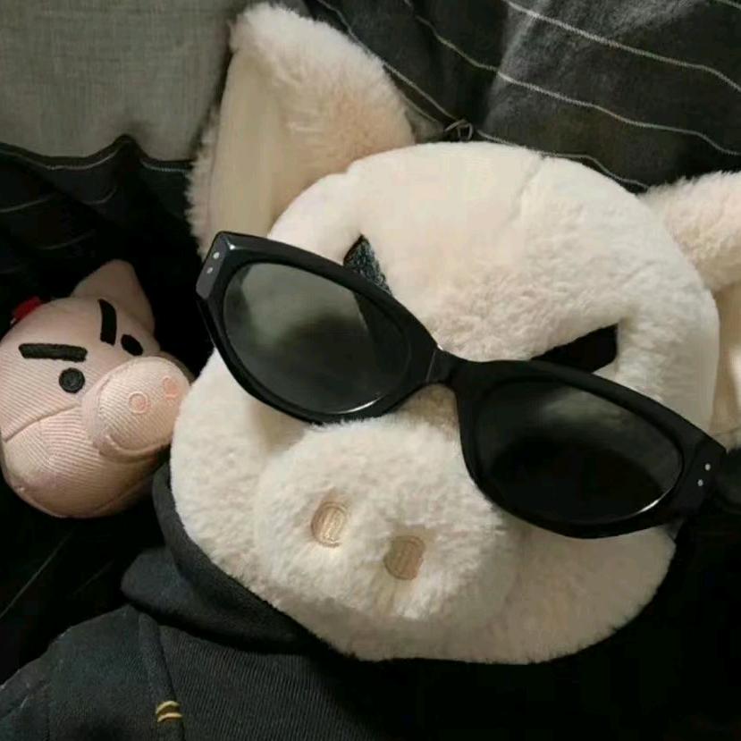 一个甜甜🐽