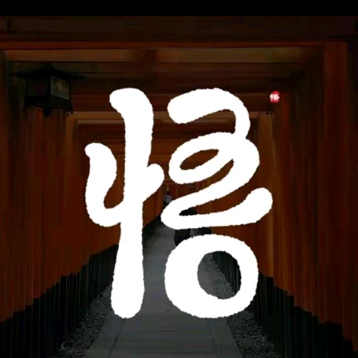 林间晨雾