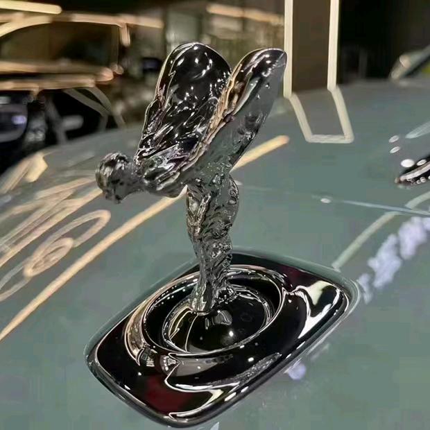 鲲鹏展翅高飞万里（人定胜天）