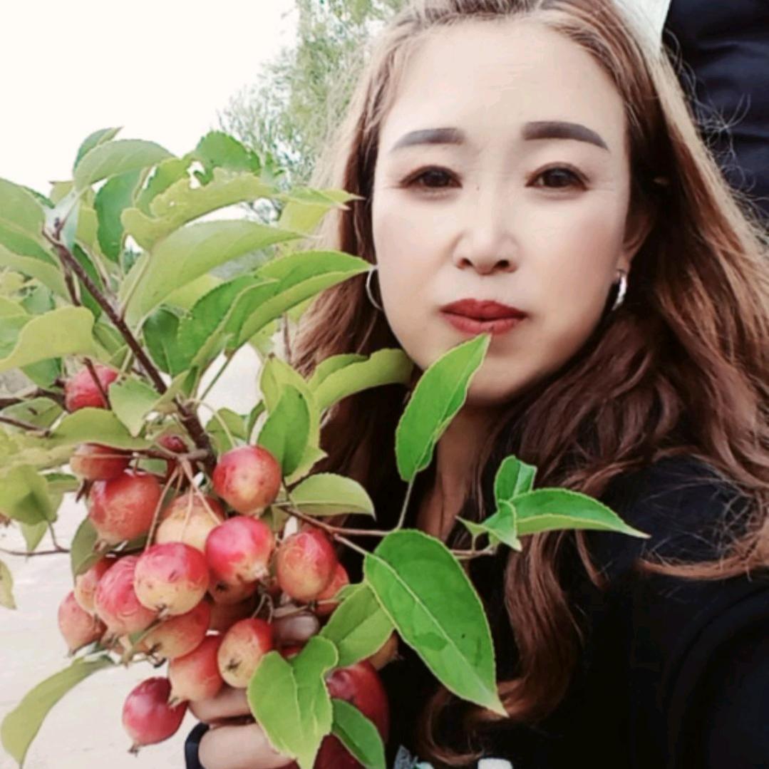 红姐