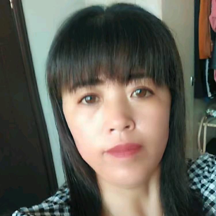 龙凤梦想