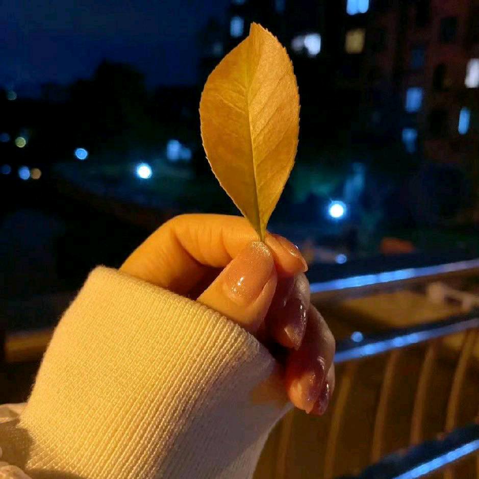 家有小baby！开心果