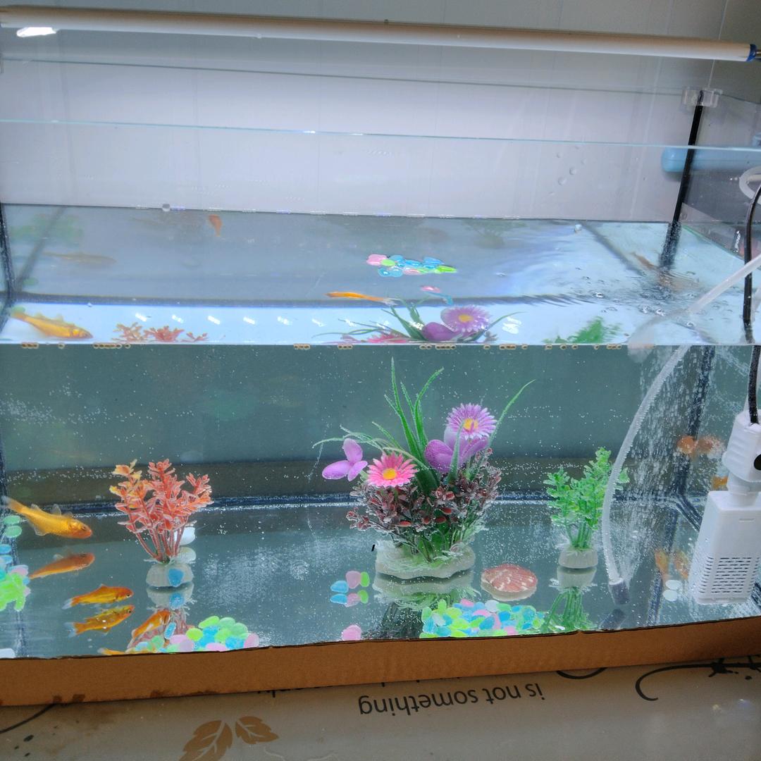 ༂༽人生靠自己༼༃