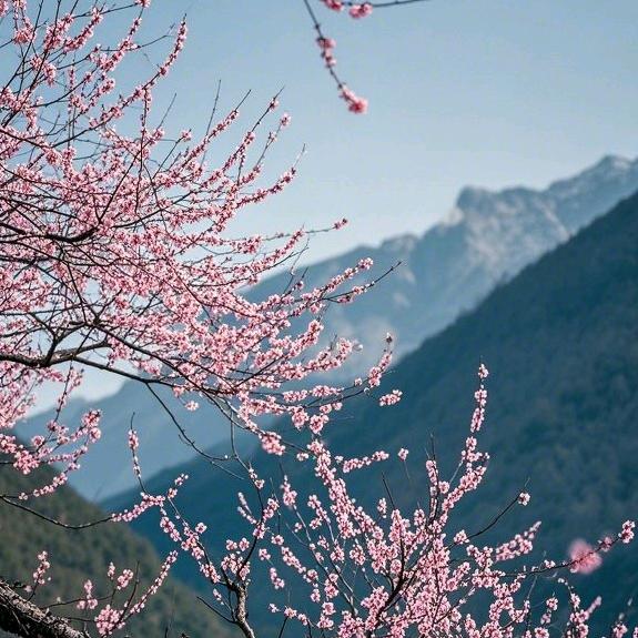 榆林电子屏租赁晶宇