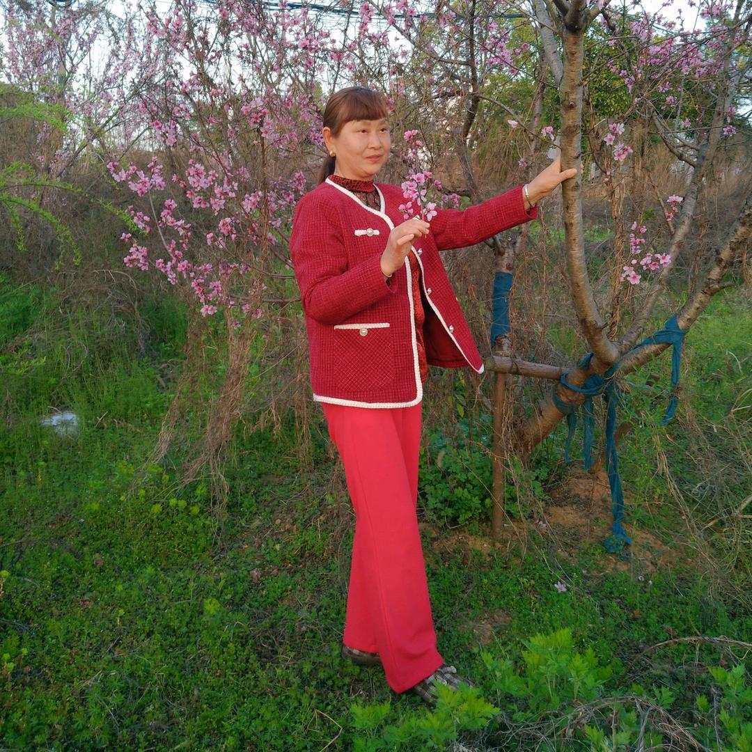 王家三妹(拒绝私聊，有关必回)