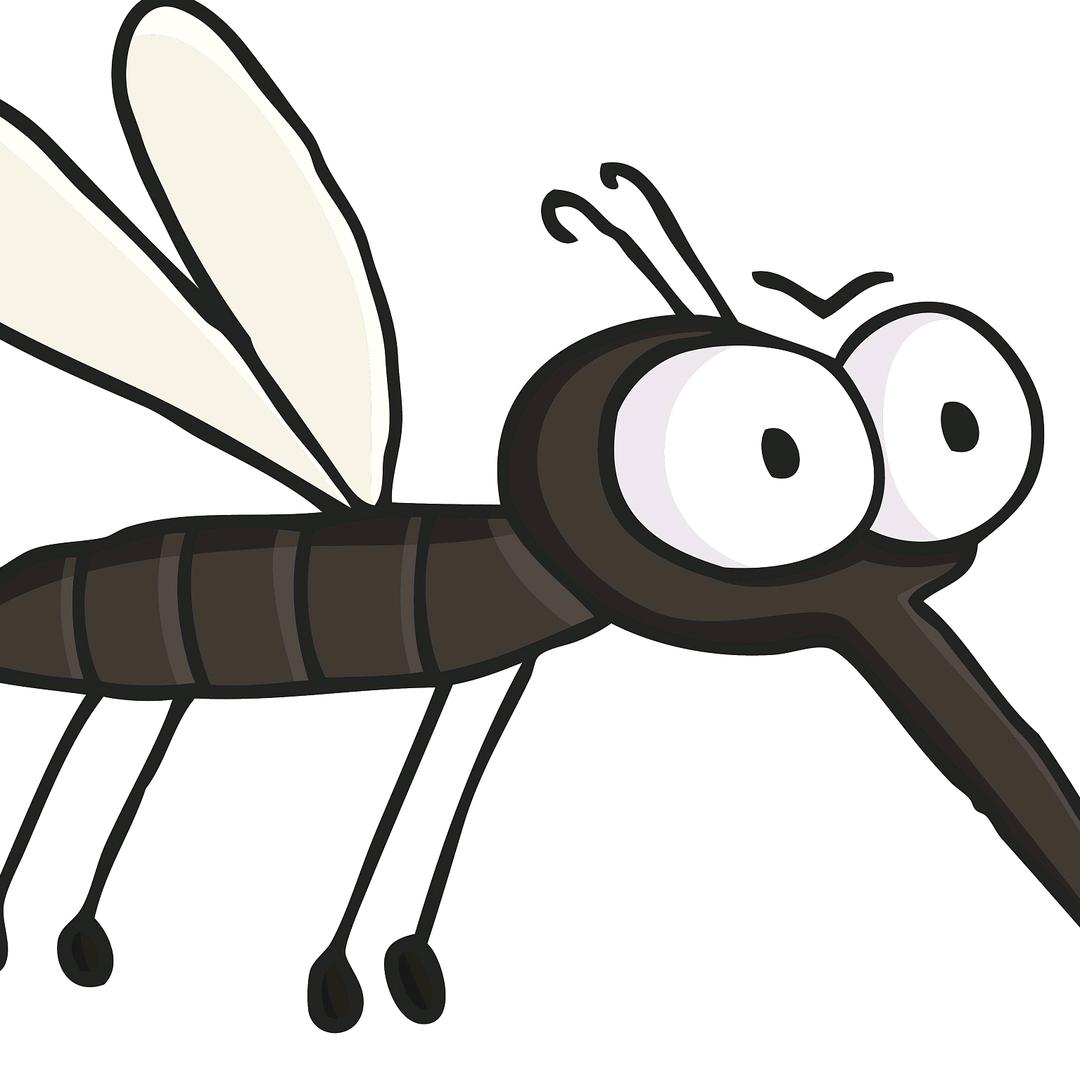 蚊子@茶苦醉人何须酒