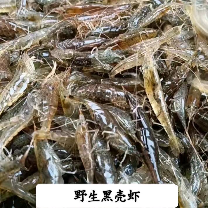 黑壳虾園
