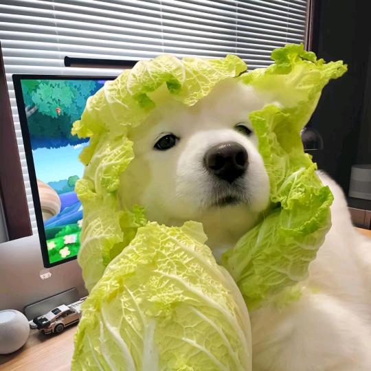 差不多先生