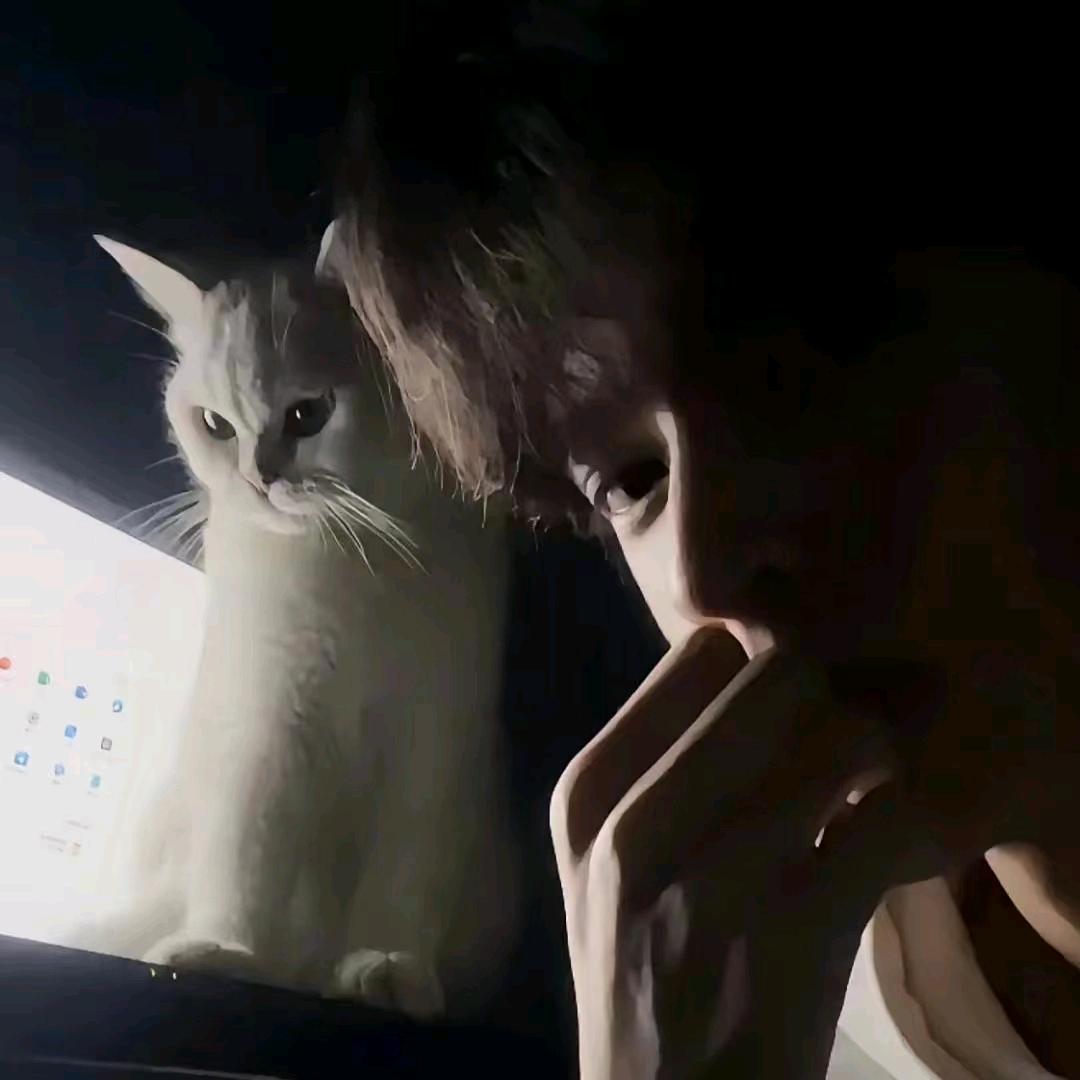 遗憾皆常态