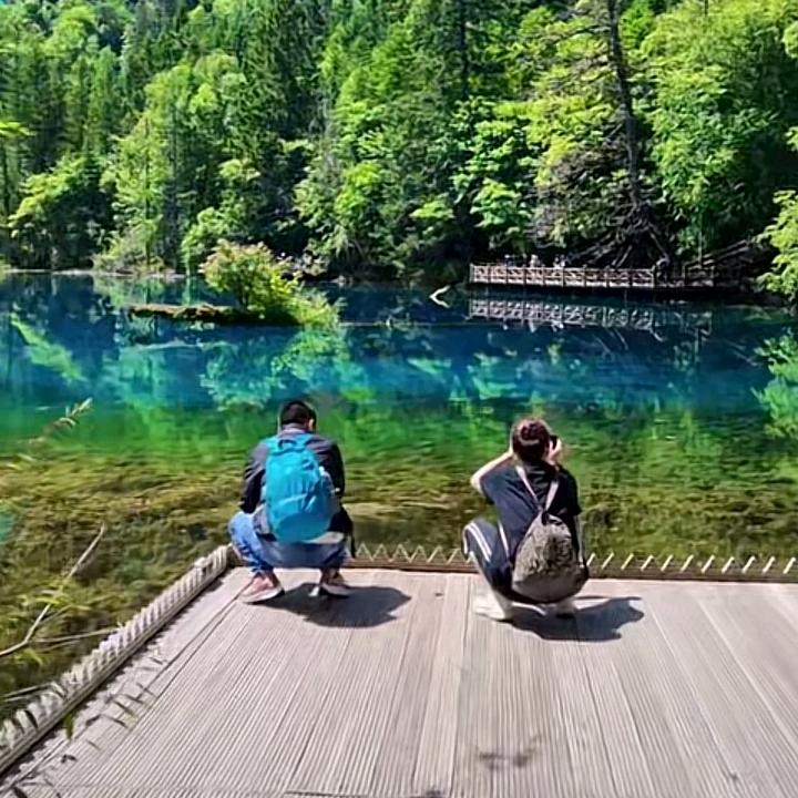 追梦哥