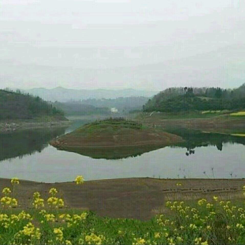 善念随行