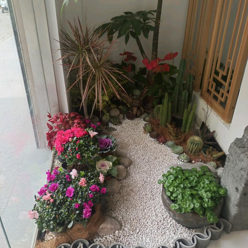 源头工厂（宠粉号）