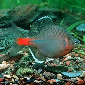 🌈深情不及久伴，厚爱无须多言