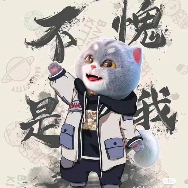 小❤️白