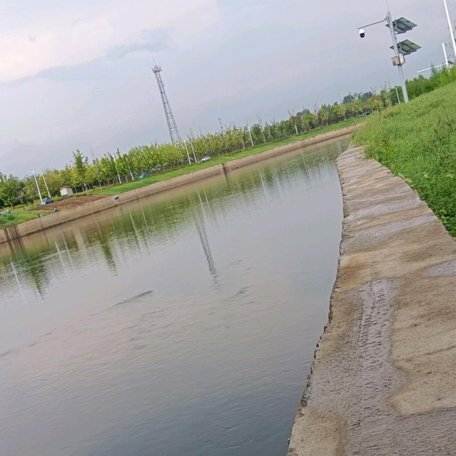 秋☔️☔️雨