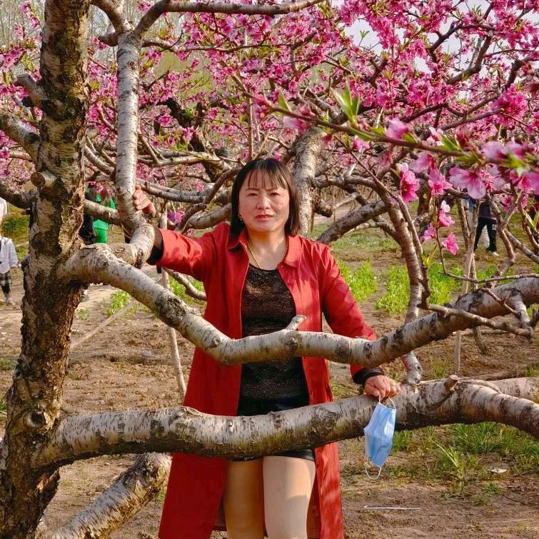 刘红梅