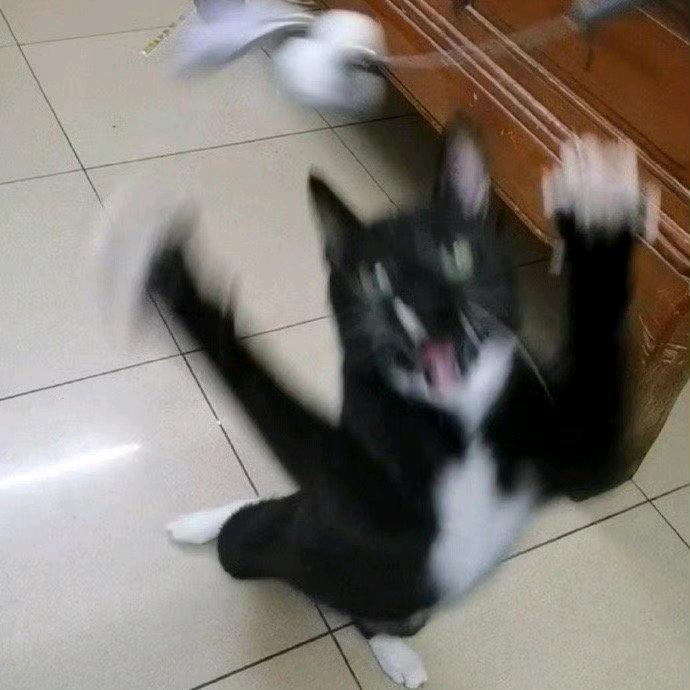 我叫1234啊