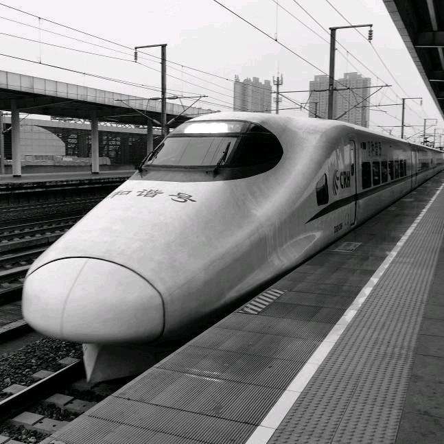 带鱼Hairtail🚄🚅