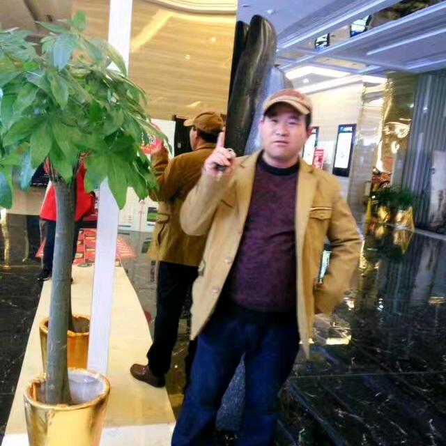 王龙