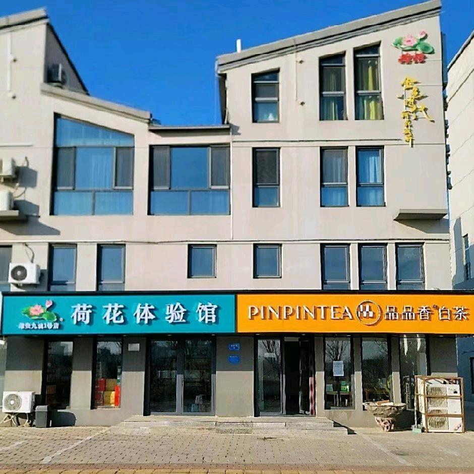 华北明珠/雄安荷茶 荷花体验馆雄安1号店