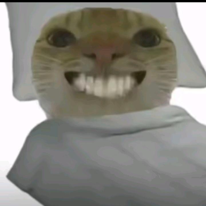 XWJ杰杰