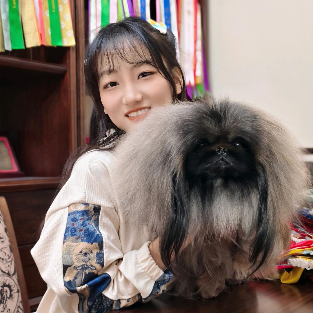兵利犬舍听听