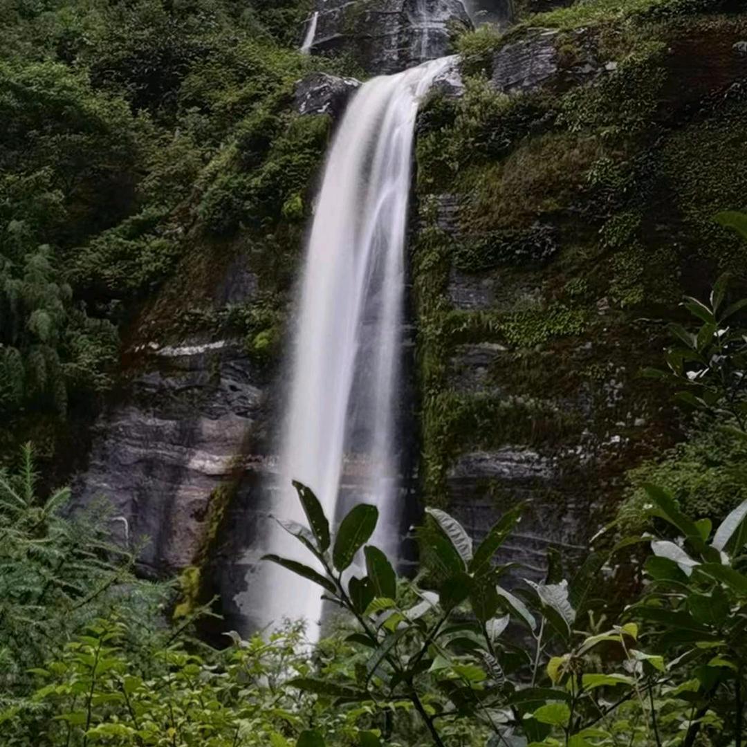 小徐同志 ¹⁴⁰¹¹