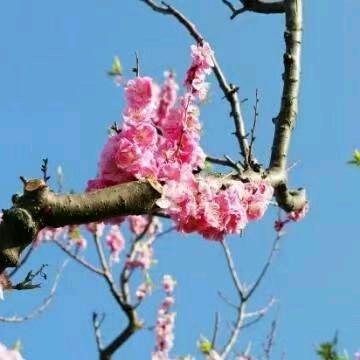 美好姻缘从这里开始