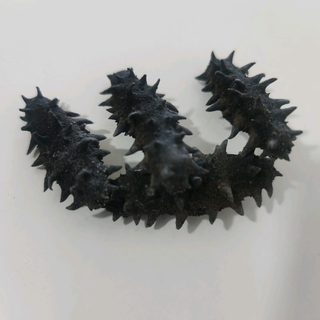 干海产品专卖店官方号