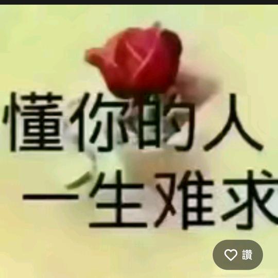 三十二号星期八