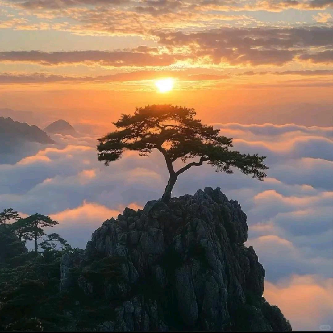 瑟伊梓